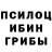 Псилоцибиновые грибы GOLDEN TEACHER submarino 0905