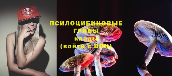 PSILOCYBIN Балабаново