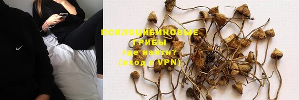 сатива Белоозёрский