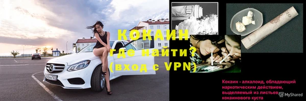 сатива Белоозёрский