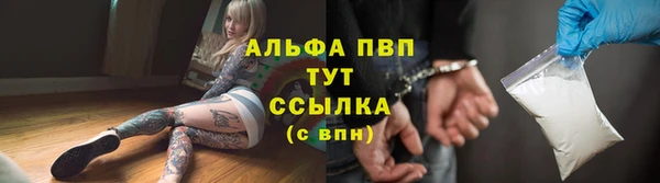 прущие грибы Баксан