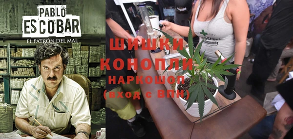 прущие грибы Баксан