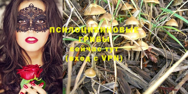 PSILOCYBIN Балабаново