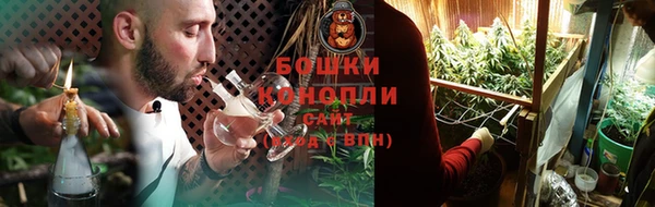 PSILOCYBIN Балабаново